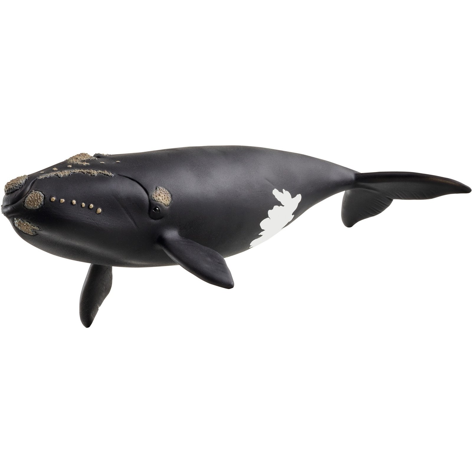 Schleich Wild Life Nordatlantischer Glattwal