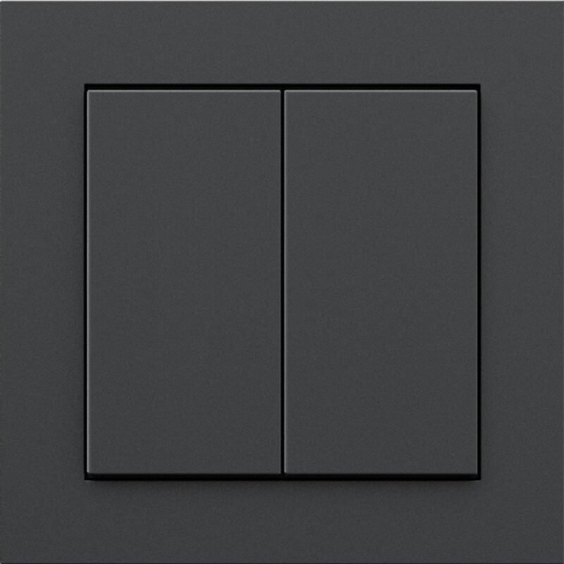 Senic Friends of Hue Smart Switch Negro
