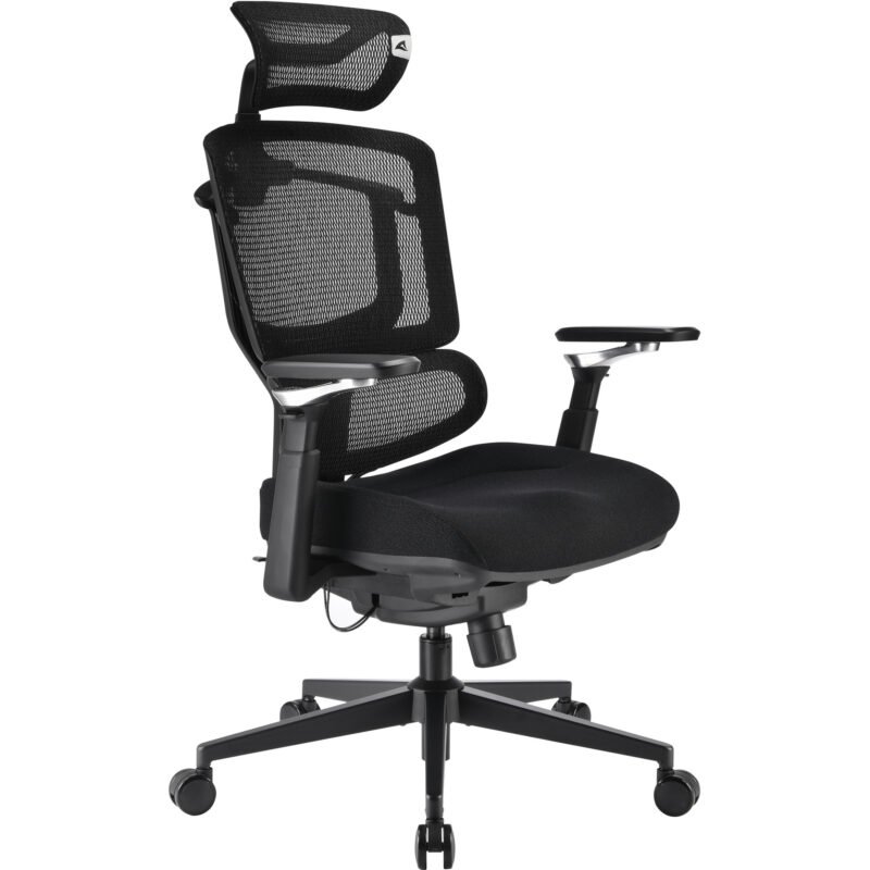 Sharkoon Bürostuhl OfficePal C50 Negro