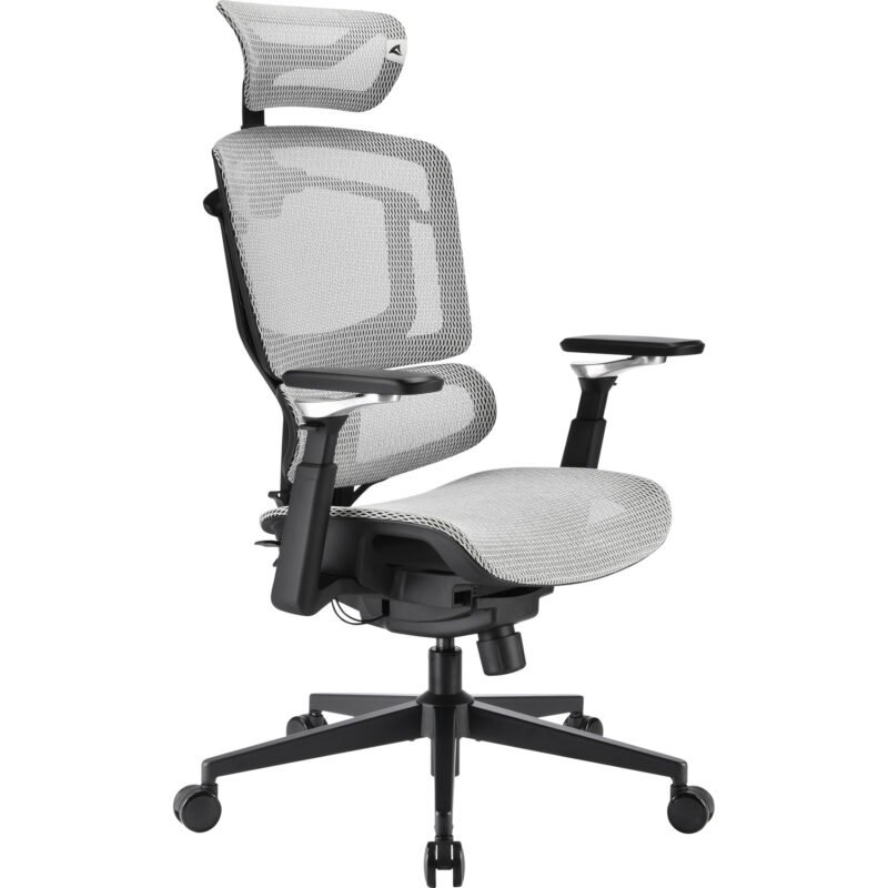 Sharkoon Bürostuhl OfficePal C50M Gris