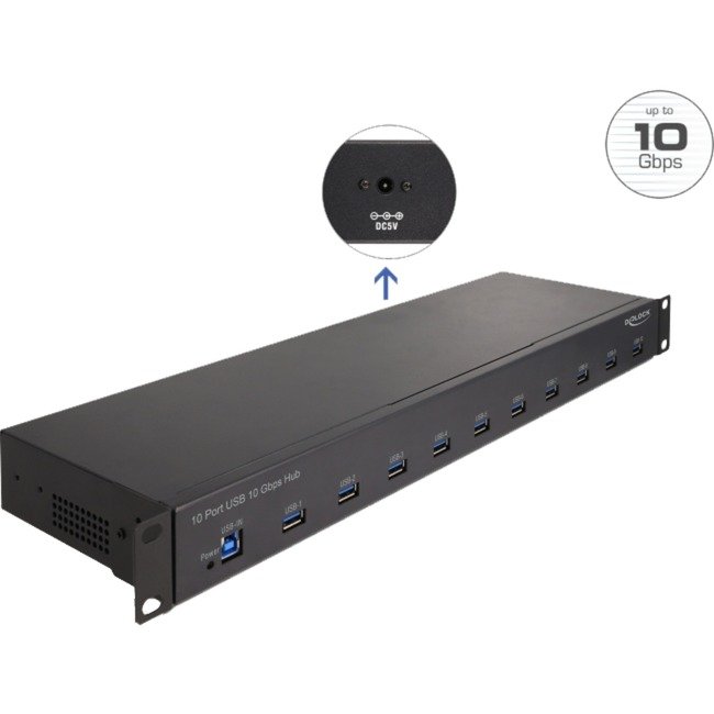 DeLOCK 19″ Industrie Hub 10 x USB 10 Gbps Typ-A - Imagen 3