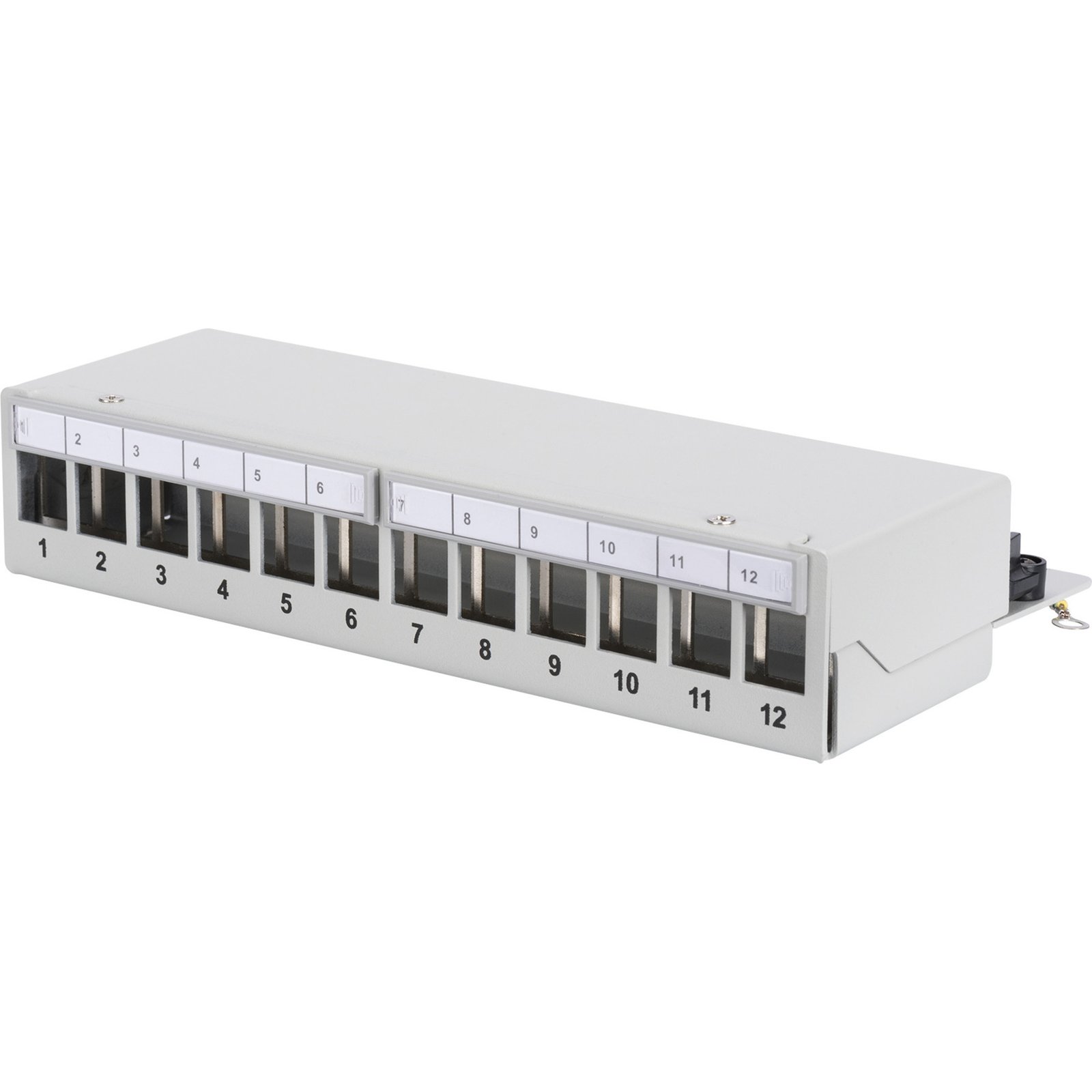 Digitus Modulares Desktop Panel de parcheo