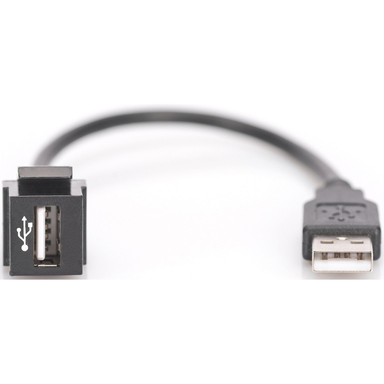 Digitus USB 2.0 Keystone-Modul USB-A macho > USB-A hembra Negro - Imagen 2