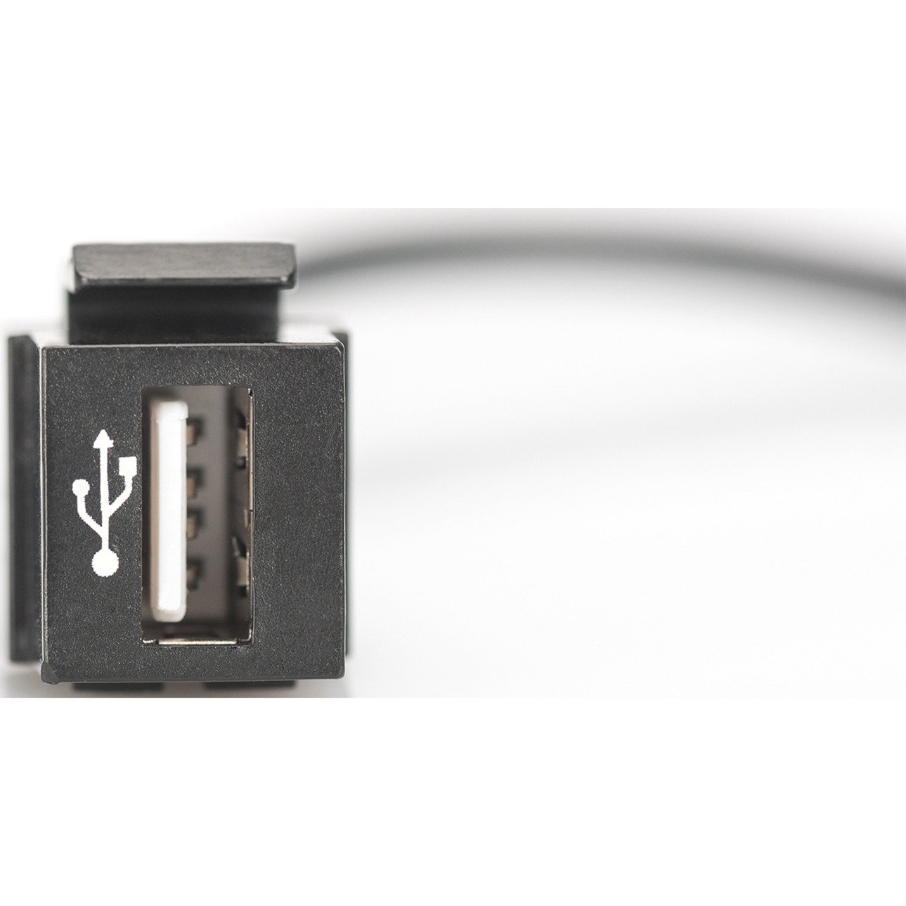 Digitus USB 2.0 Keystone-Modul USB-A macho > USB-A hembra Negro - Imagen 3
