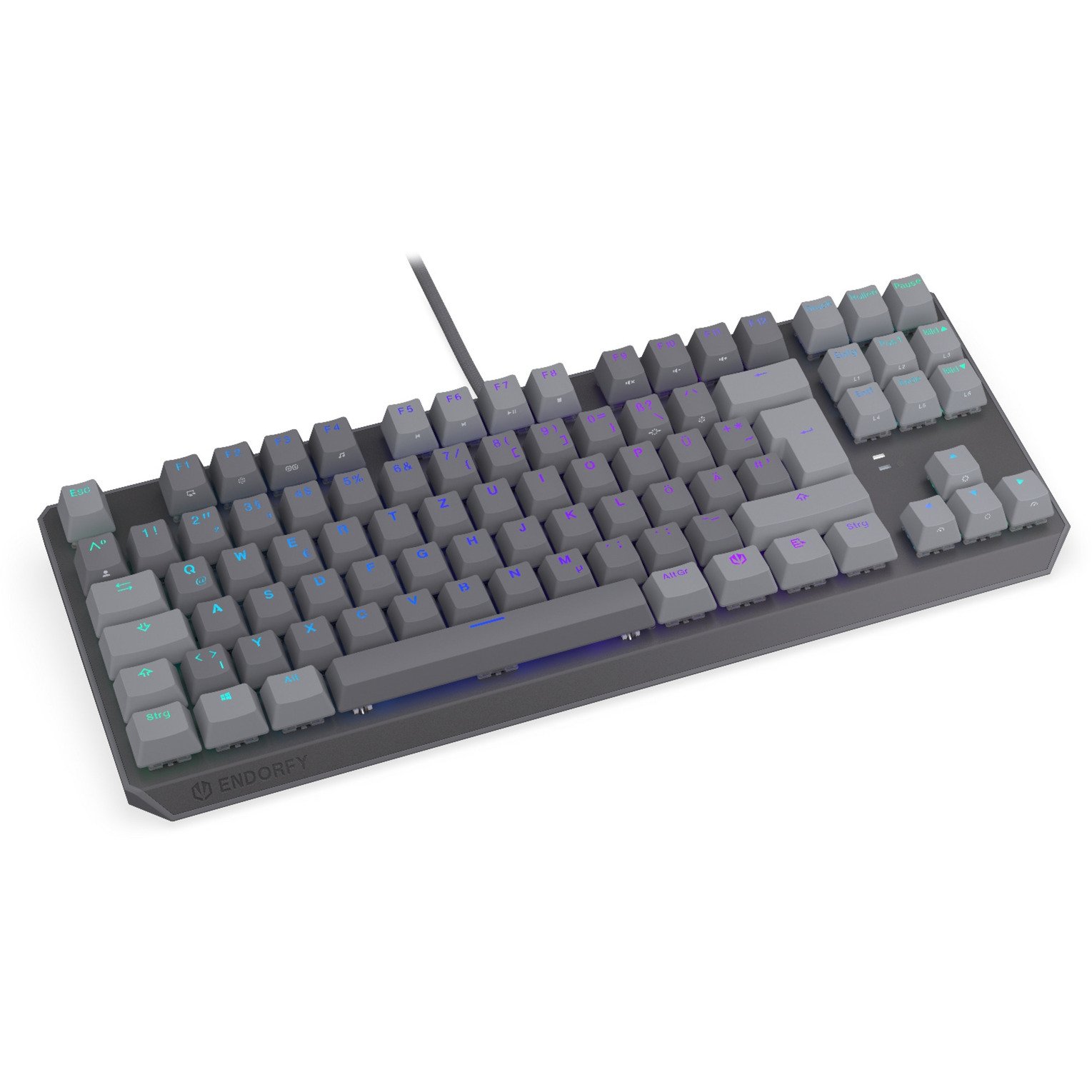 ENDORFY Thock V2 TKL Gris